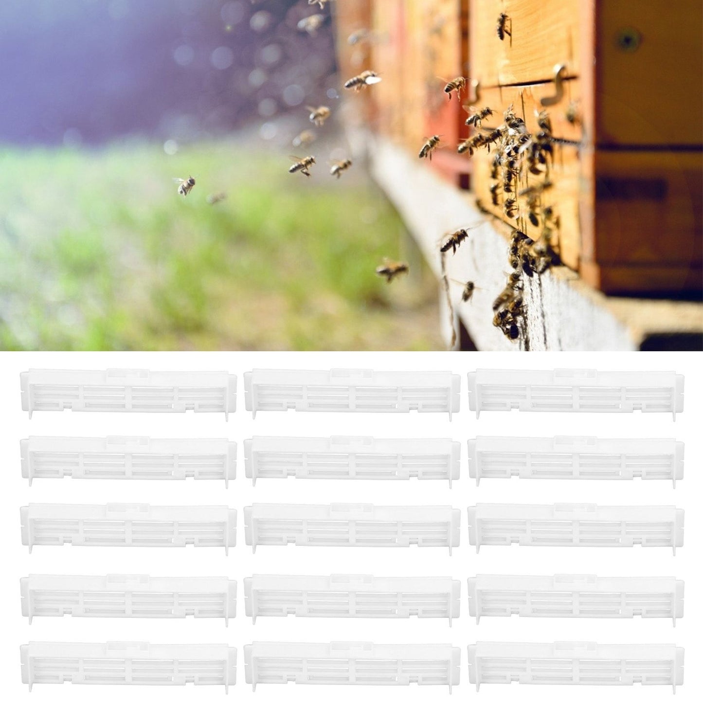15PCS Bee Anti Escape Device Barrier Plastic Beehive Spacer Frame Beekeeping Tool for Apiculture V1294-YM0523-3111220008411