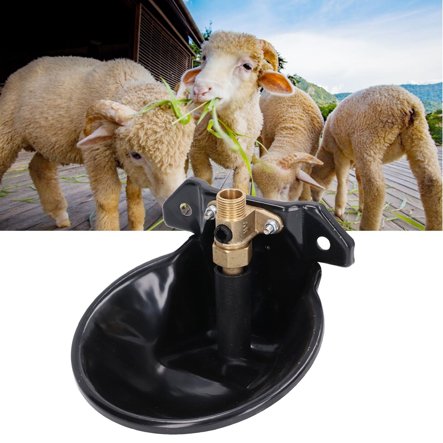 Sheep Water Bowl Stainless Steel Copper Valve Touch Switch Thickened Automatic Goats Drinking Waterer for Farm V1294-YM0523-3111220015711