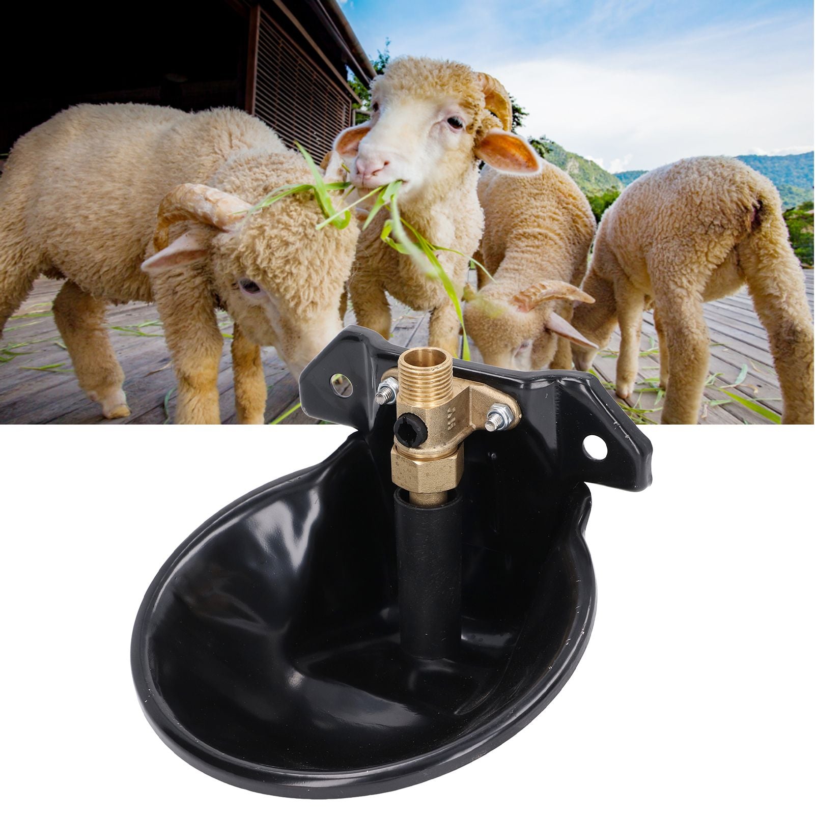 Sheep Water Bowl Stainless Steel Copper Valve Touch Switch Thickened Automatic Goats Drinking Waterer for Farm V1294-YM0523-3111220015711