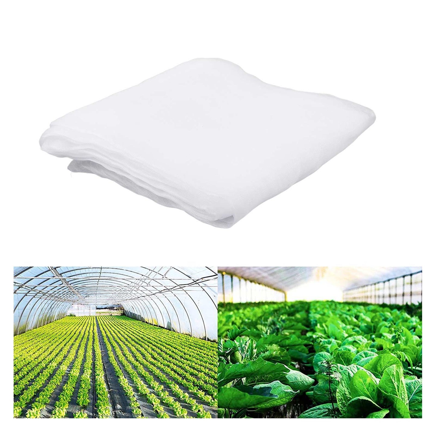 Plant Net Cover White Polyethylene 3x3 Meters Waterproof Good Permeability Breathability Bird Barrier Netting V1294-YM0523-3111220024111