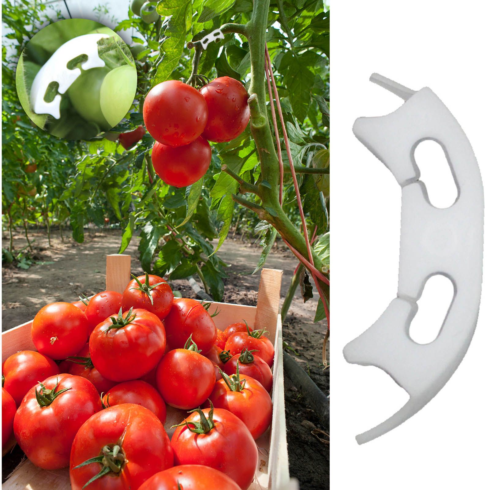 100Pcs Plant Support Clips Durable Plastic Grow Upright Vine Fixation Wide Application Tomato Clips for Grape V1294-YM0523-3111220045311
