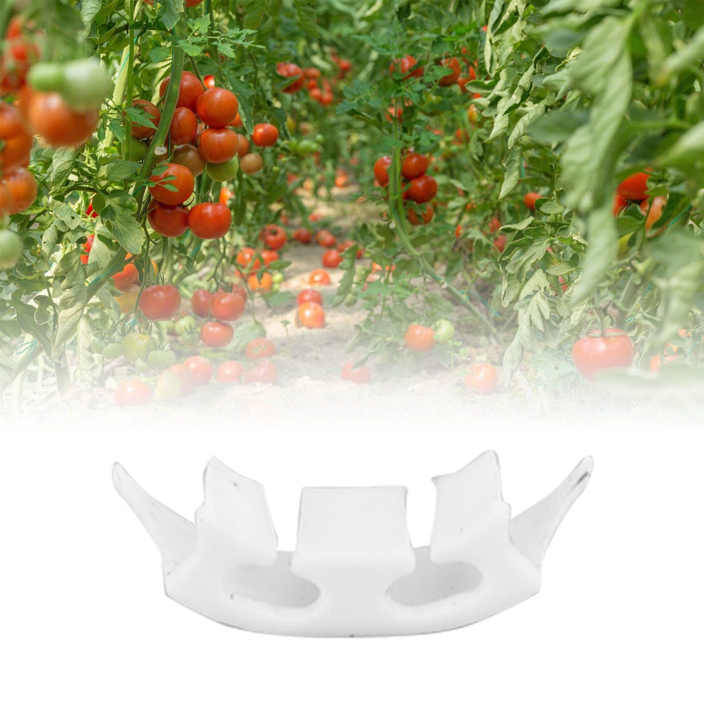 100Pcs Plant Support Clips Durable Plastic Grow Upright Vine Fixation Wide Application Tomato Clips for Grape V1294-YM0523-3111220045311