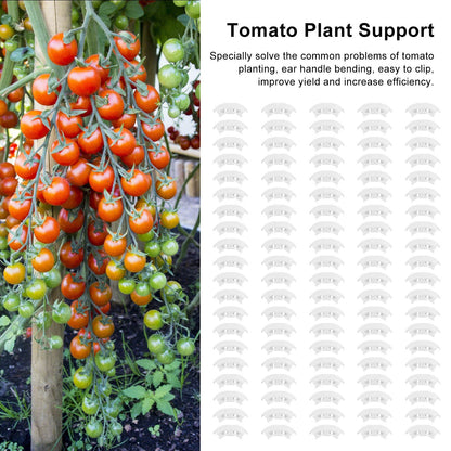 100Pcs Plant Support Clips Durable Plastic Grow Upright Vine Fixation Wide Application Tomato Clips for Grape V1294-YM0523-3111220045311