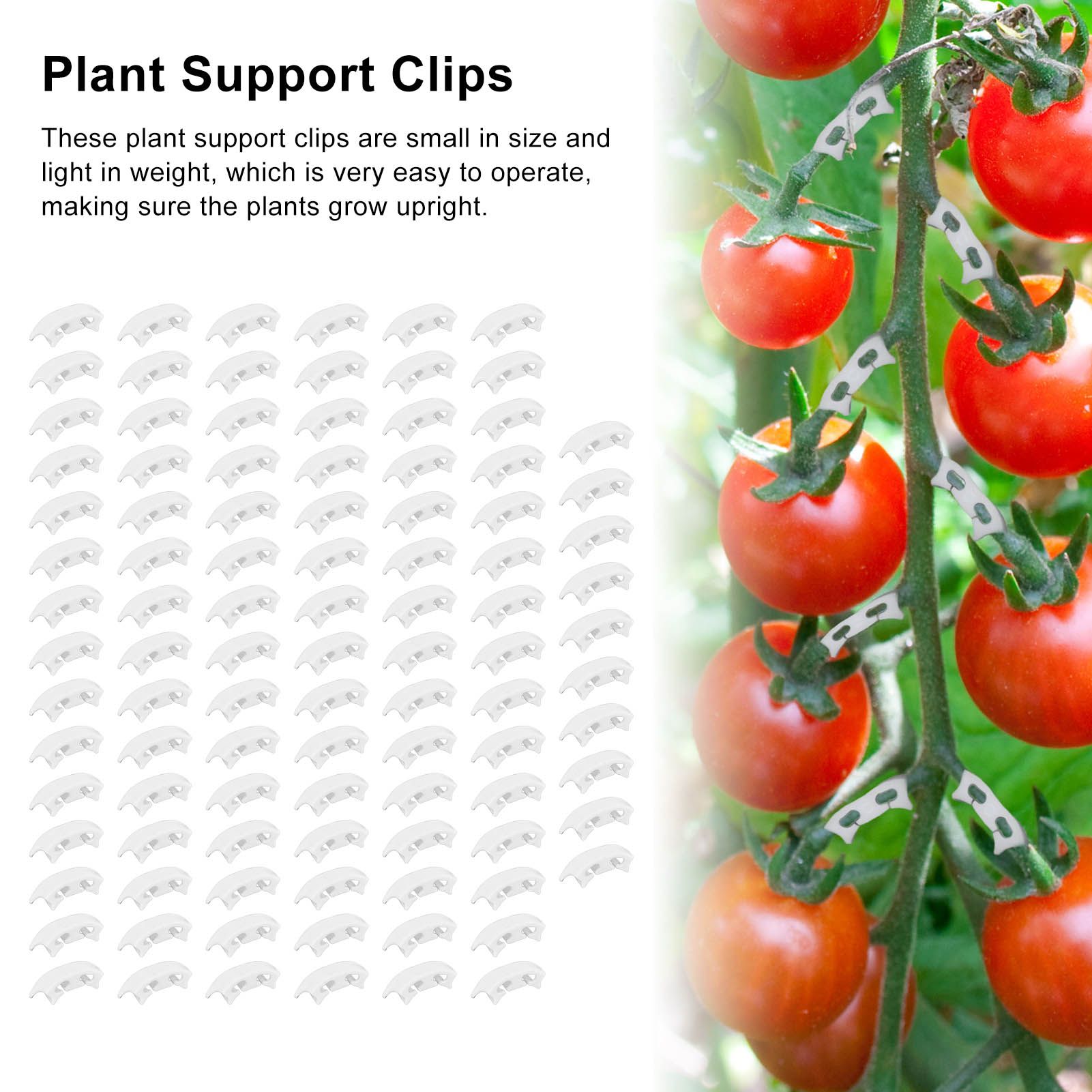 100Pcs Plant Support Clips Durable Plastic Grow Upright Vine Fixation Wide Application Tomato Clips for Grape V1294-YM0523-3111220045311