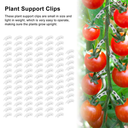 100Pcs Plant Support Clips Durable Plastic Grow Upright Vine Fixation Wide Application Tomato Clips for Grape V1294-YM0523-3111220045311