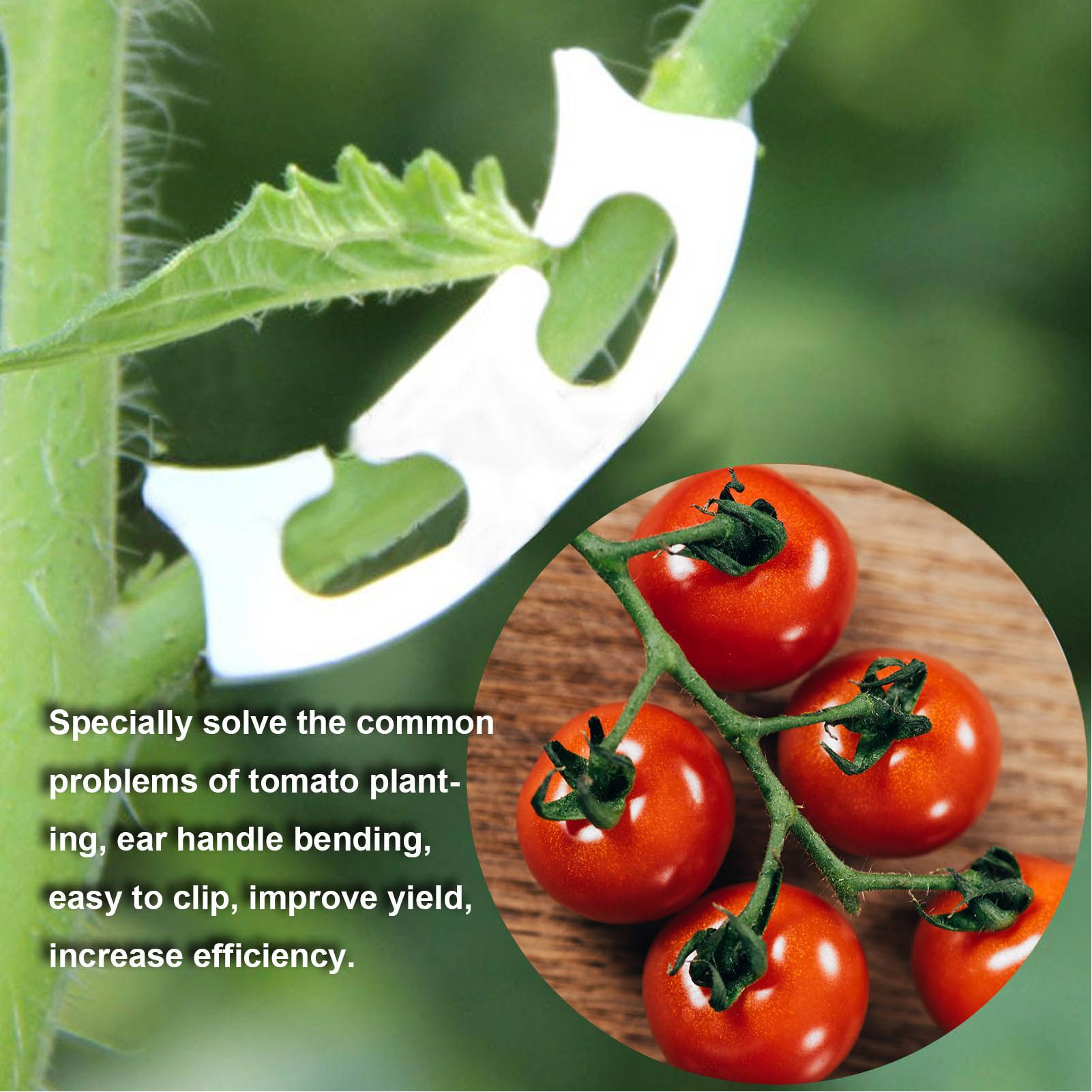 100Pcs Plant Support Clips Durable Plastic Grow Upright Vine Fixation Wide Application Tomato Clips for Grape V1294-YM0523-3111220045311