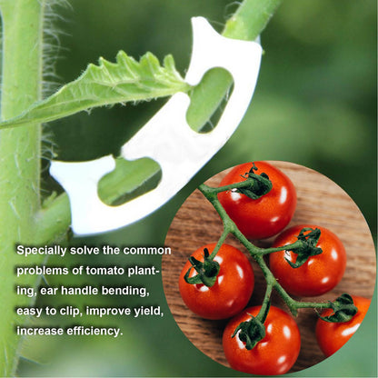 100Pcs Plant Support Clips Durable Plastic Grow Upright Vine Fixation Wide Application Tomato Clips for Grape V1294-YM0523-3111220045311