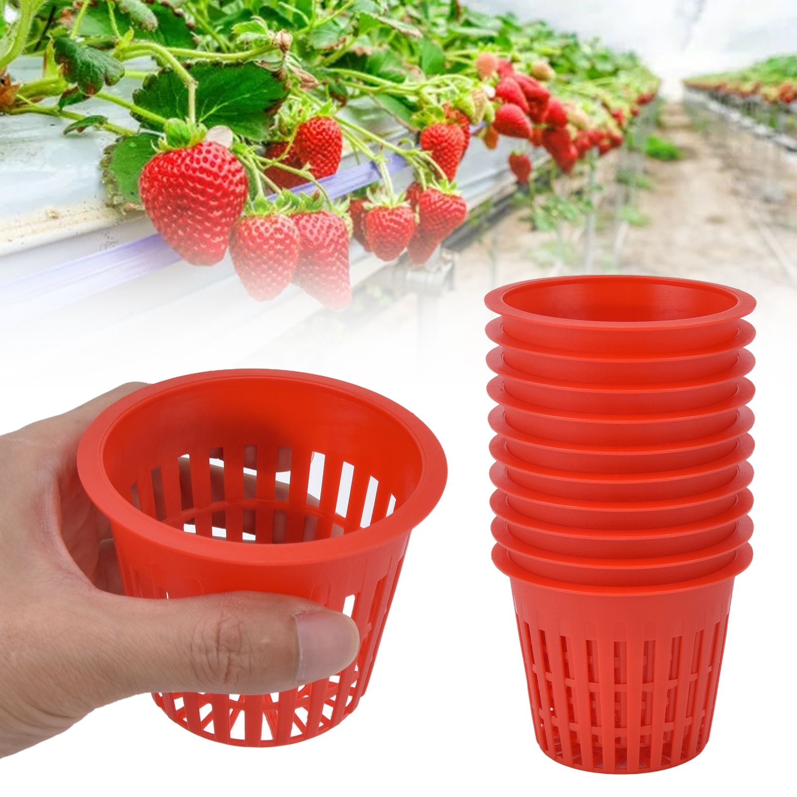 10PCS Planting Basket Plant Cultivation Basket Plastic Hydroponic Planting Mesh Cup for Garden V1294-YM0523-3111220054511