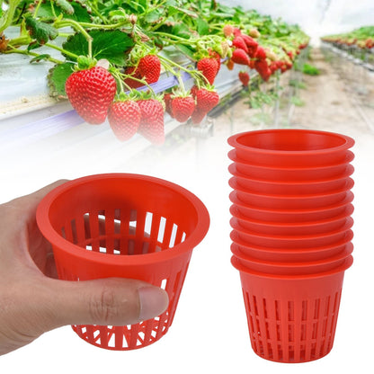 10PCS Planting Basket Plant Cultivation Basket Plastic Hydroponic Planting Mesh Cup for Garden V1294-YM0523-3111220054511