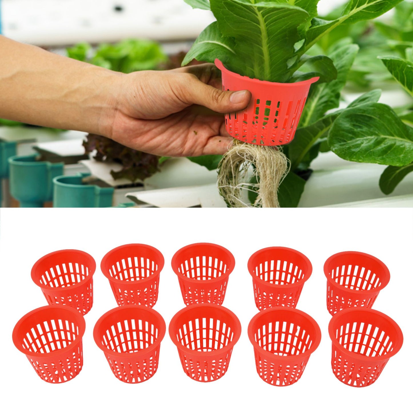 10PCS Planting Basket Plant Cultivation Basket Plastic Hydroponic Planting Mesh Cup for Garden V1294-YM0523-3111220054511
