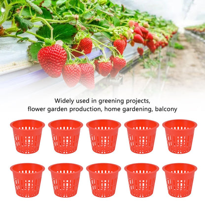 10PCS Planting Basket Plant Cultivation Basket Plastic Hydroponic Planting Mesh Cup for Garden V1294-YM0523-3111220054511