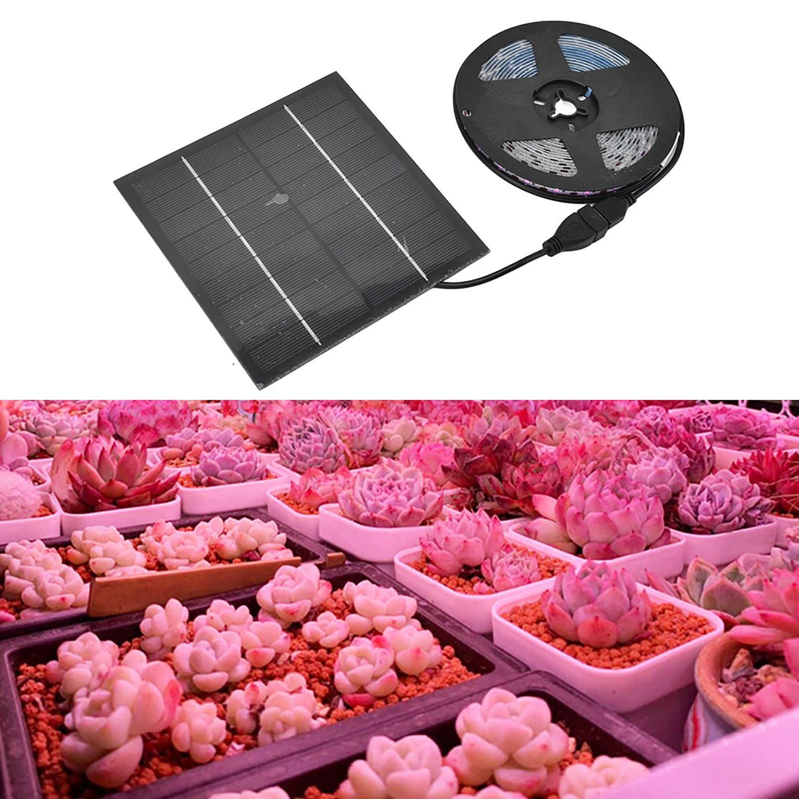 LED Grow Light Multifunction 5m/16.4ft Light String Plant Grow Flower Strip Lamp for Indoor Flower Seed V1294-YM0523-3111220063411