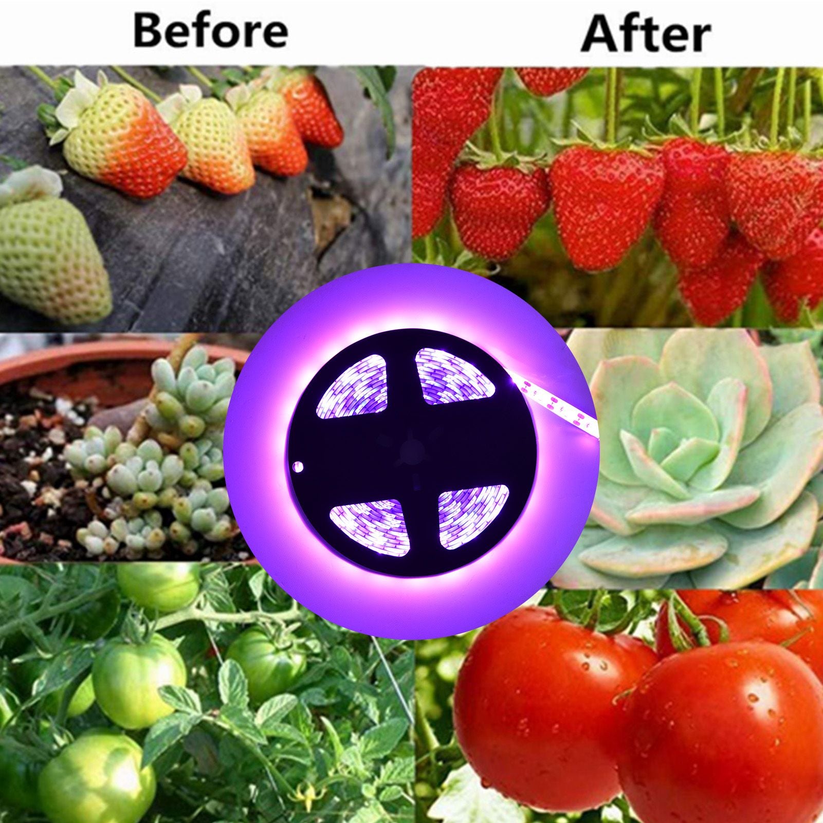 LED Grow Light Multifunction 5m/16.4ft Light String Plant Grow Flower Strip Lamp for Indoor Flower Seed V1294-YM0523-3111220063411