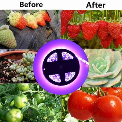 LED Grow Light Multifunction 5m/16.4ft Light String Plant Grow Flower Strip Lamp for Indoor Flower Seed V1294-YM0523-3111220063411