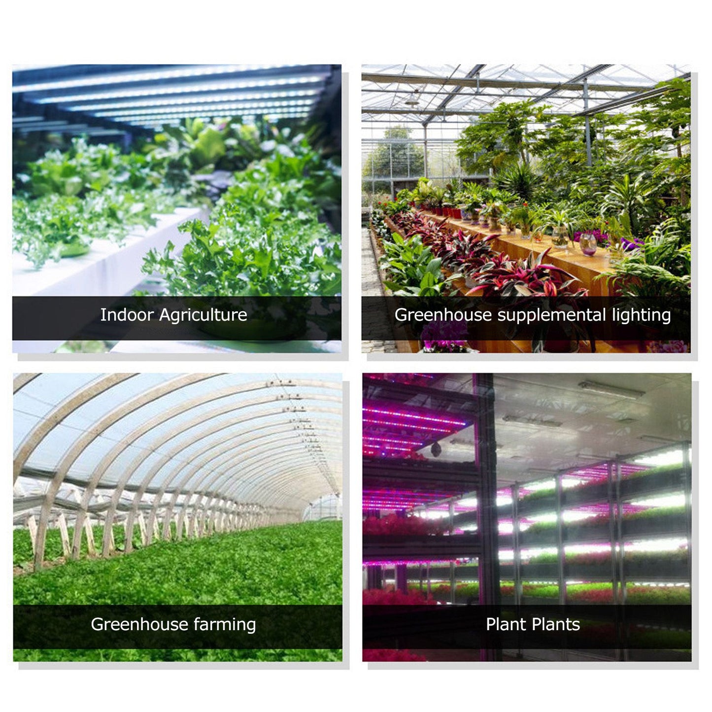 LED Grow Light Multifunction 5m/16.4ft Light String Plant Grow Flower Strip Lamp for Indoor Flower Seed V1294-YM0523-3111220063411