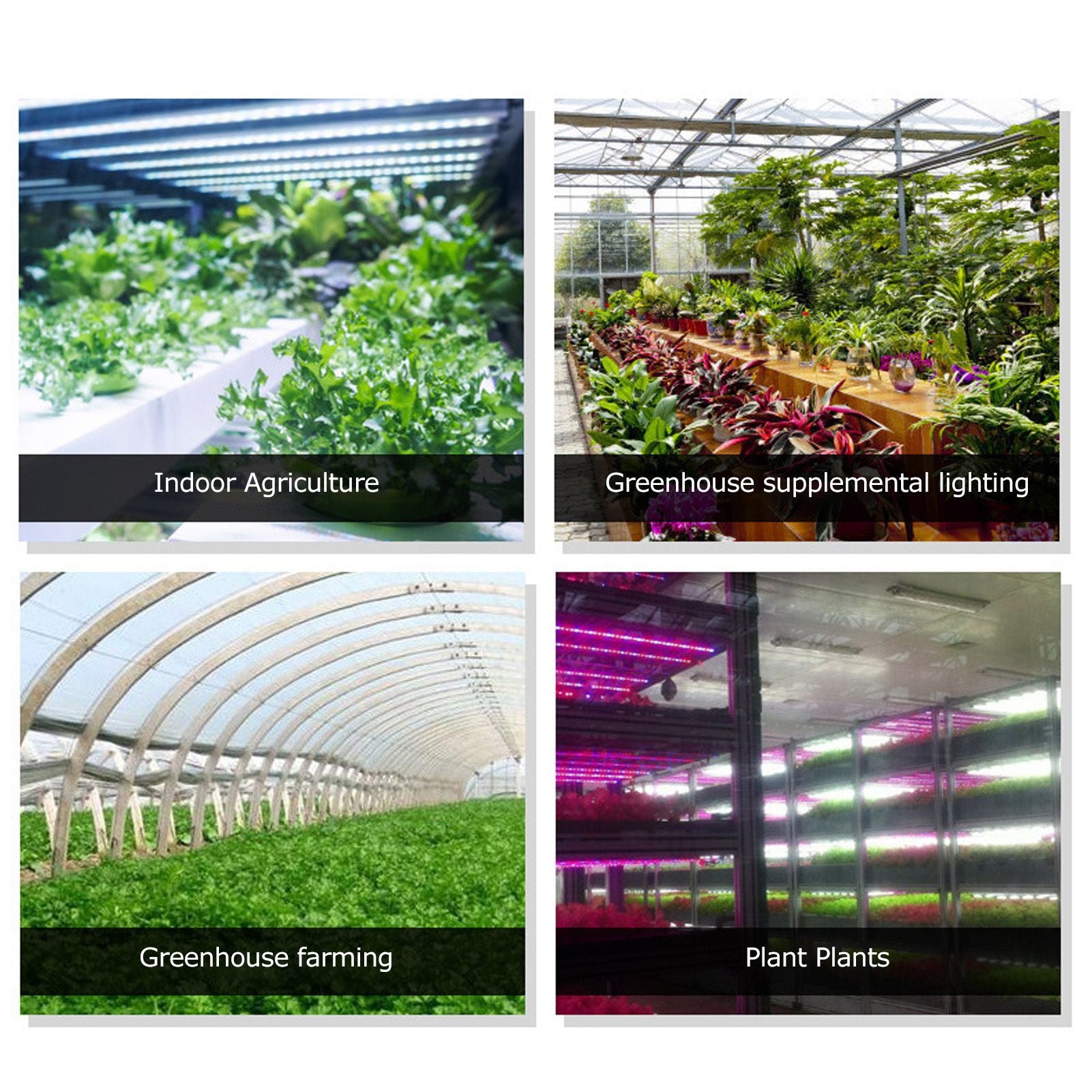 LED Grow Light Multifunction 5m/16.4ft Light String Plant Grow Flower Strip Lamp for Indoor Flower Seed V1294-YM0523-3111220063411