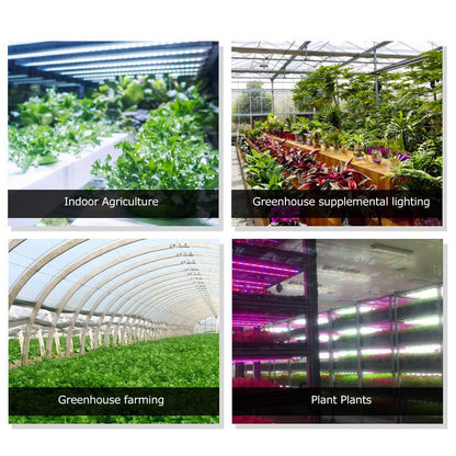 LED Grow Light Multifunction 5m/16.4ft Light String Plant Grow Flower Strip Lamp for Indoor Flower Seed V1294-YM0523-3111220063411