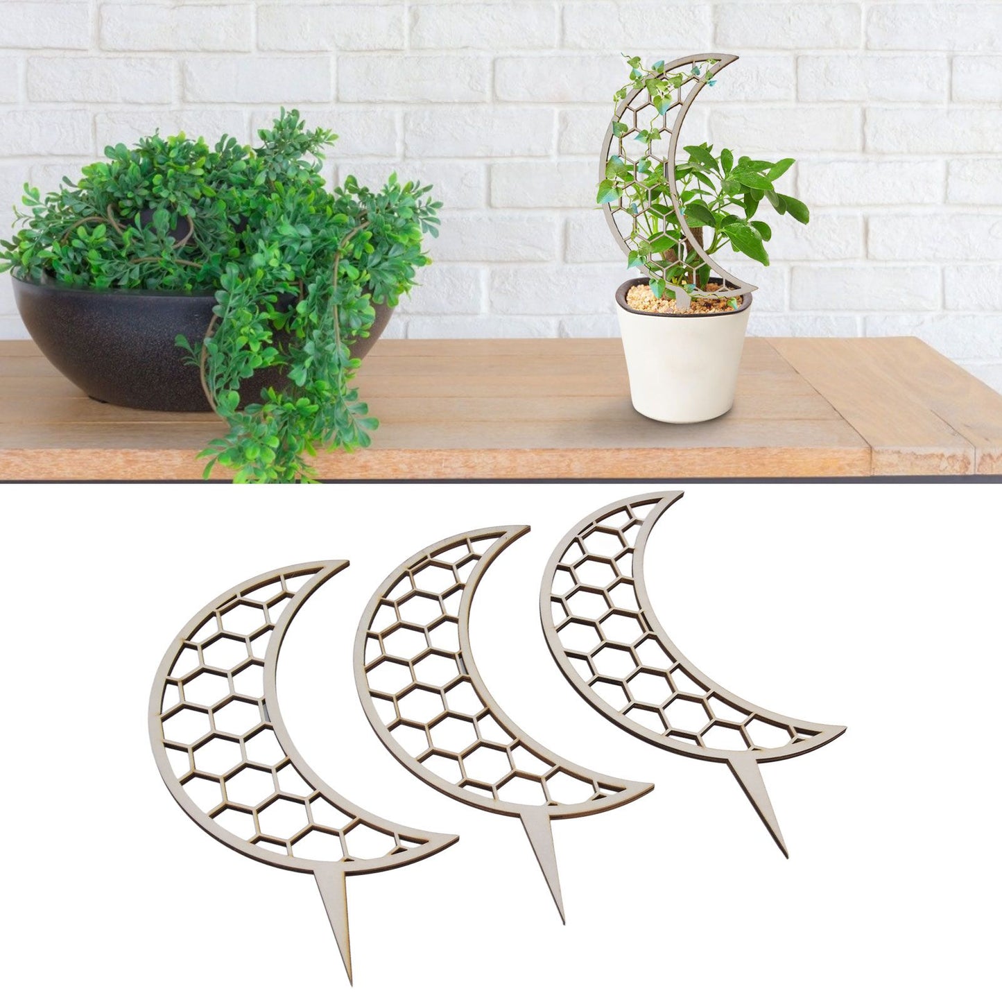 3 Pcs Vines Climbing Support Unique Design Composite Wood 30cm Flower Climbing Rack for Plant Modeling Moon V1294-YM0523-3111220072111