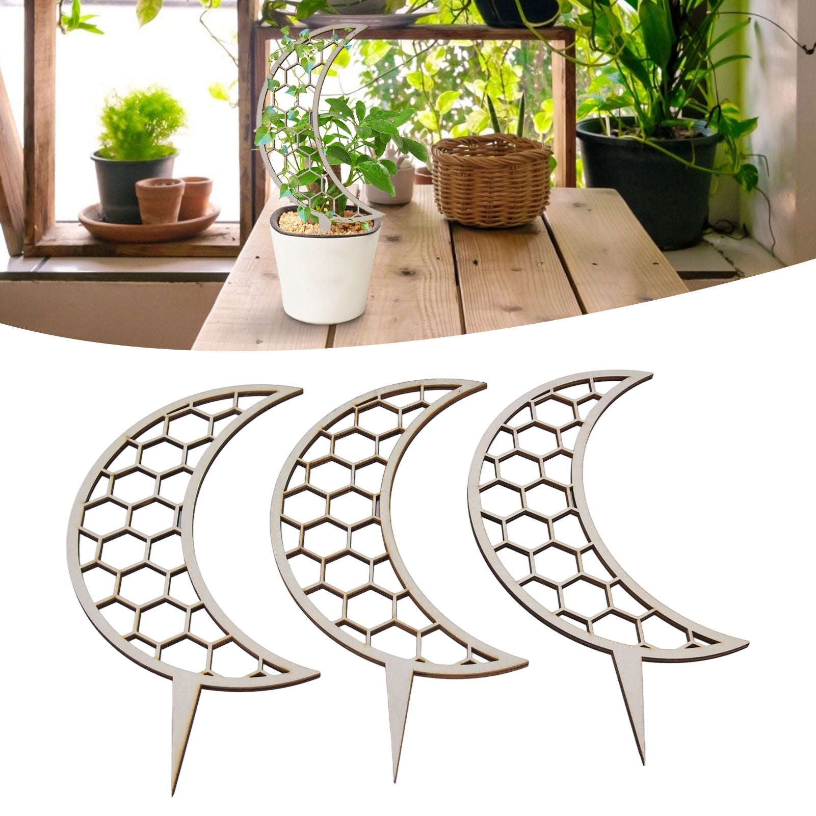 3 Pcs Vines Climbing Support Unique Design Composite Wood 30cm Flower Climbing Rack for Plant Modeling Moon V1294-YM0523-3111220072111