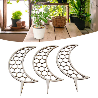 3 Pcs Vines Climbing Support Unique Design Composite Wood 30cm Flower Climbing Rack for Plant Modeling Moon V1294-YM0523-3111220072111