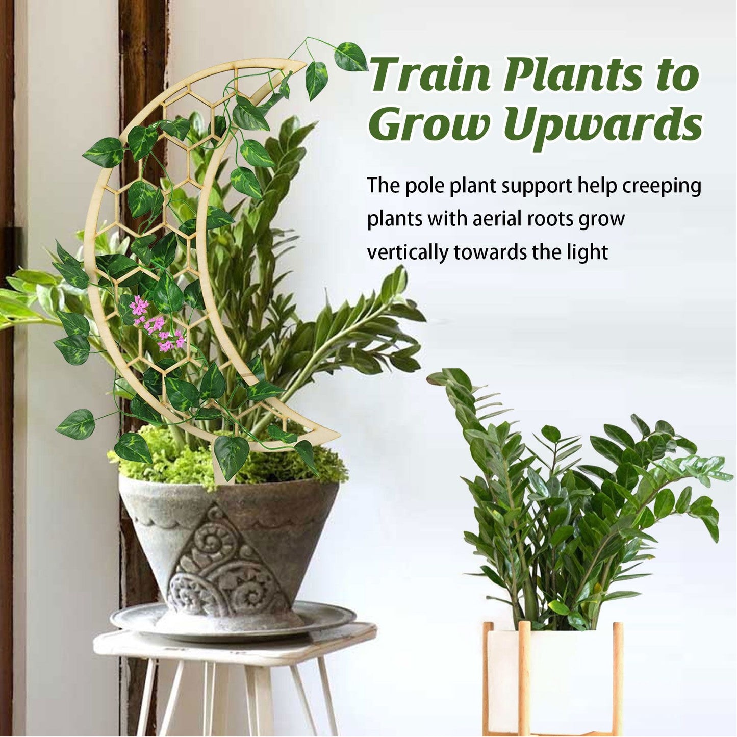 3 Pcs Vines Climbing Support Unique Design Composite Wood 30cm Flower Climbing Rack for Plant Modeling Moon V1294-YM0523-3111220072111