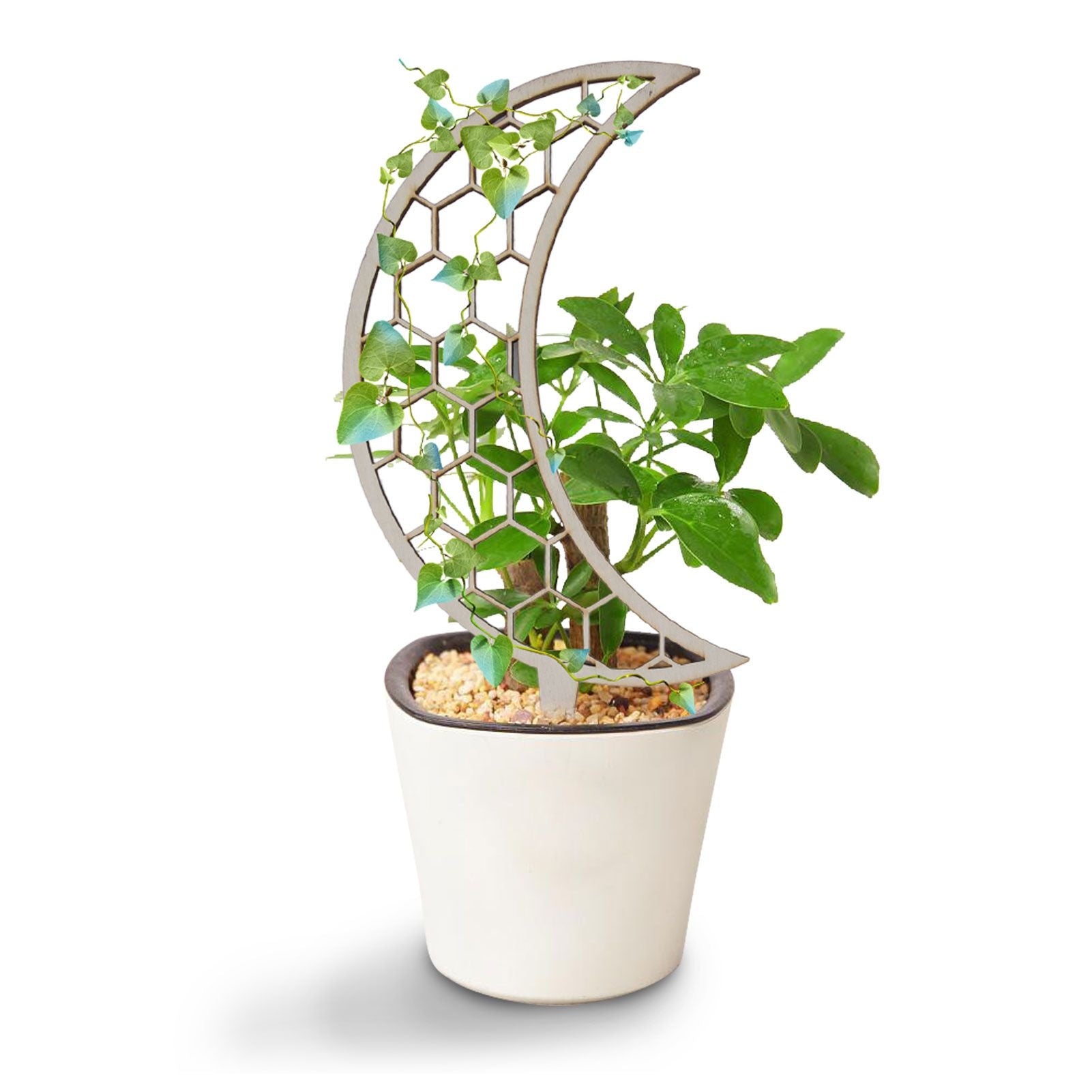 3 Pcs Vines Climbing Support Unique Design Composite Wood 30cm Flower Climbing Rack for Plant Modeling Moon V1294-YM0523-3111220072111