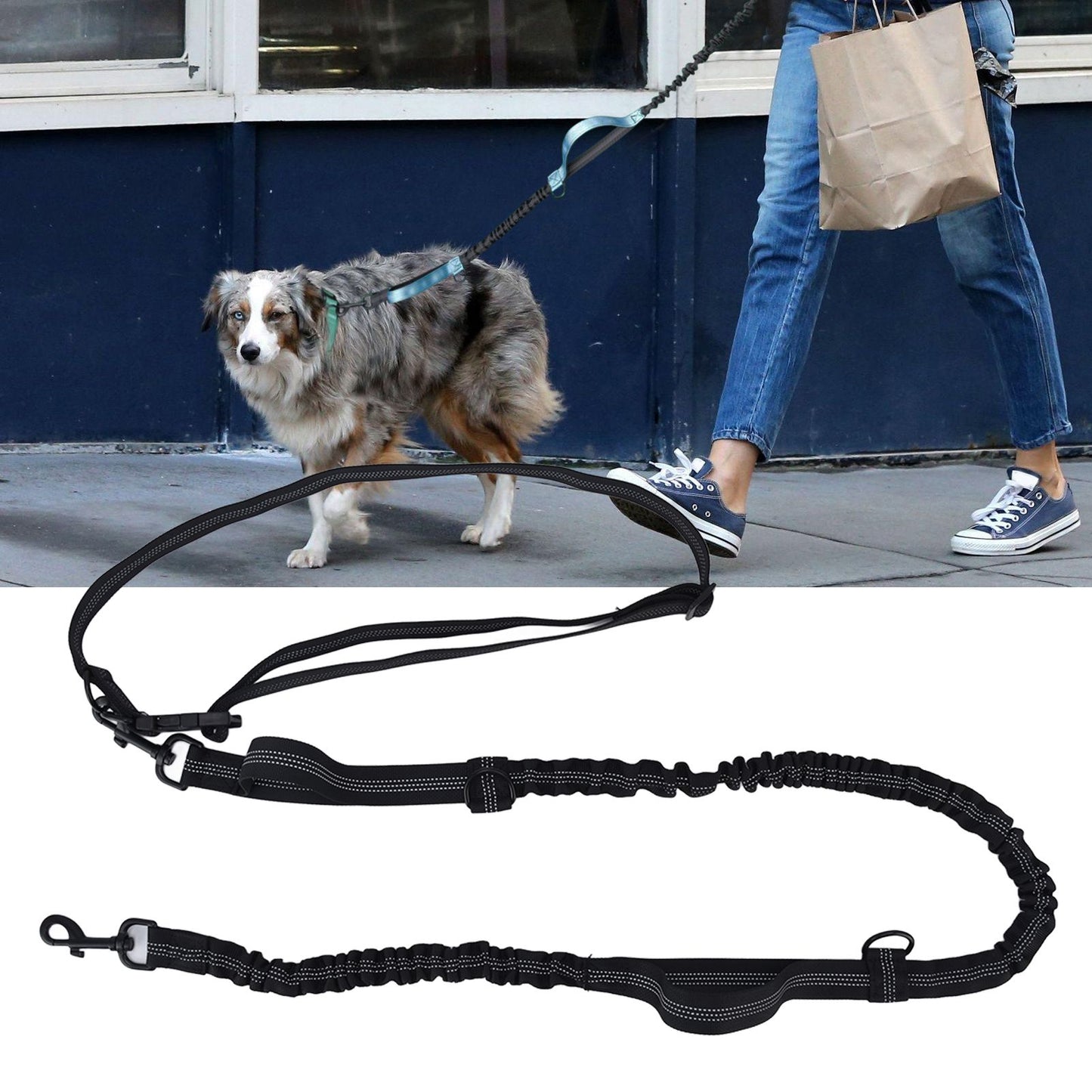 Pet Leash Reflective Retractable Portable Adjustable Dog Traction Rope for Pets Dogs Black V1294-YM0523-3111220081912