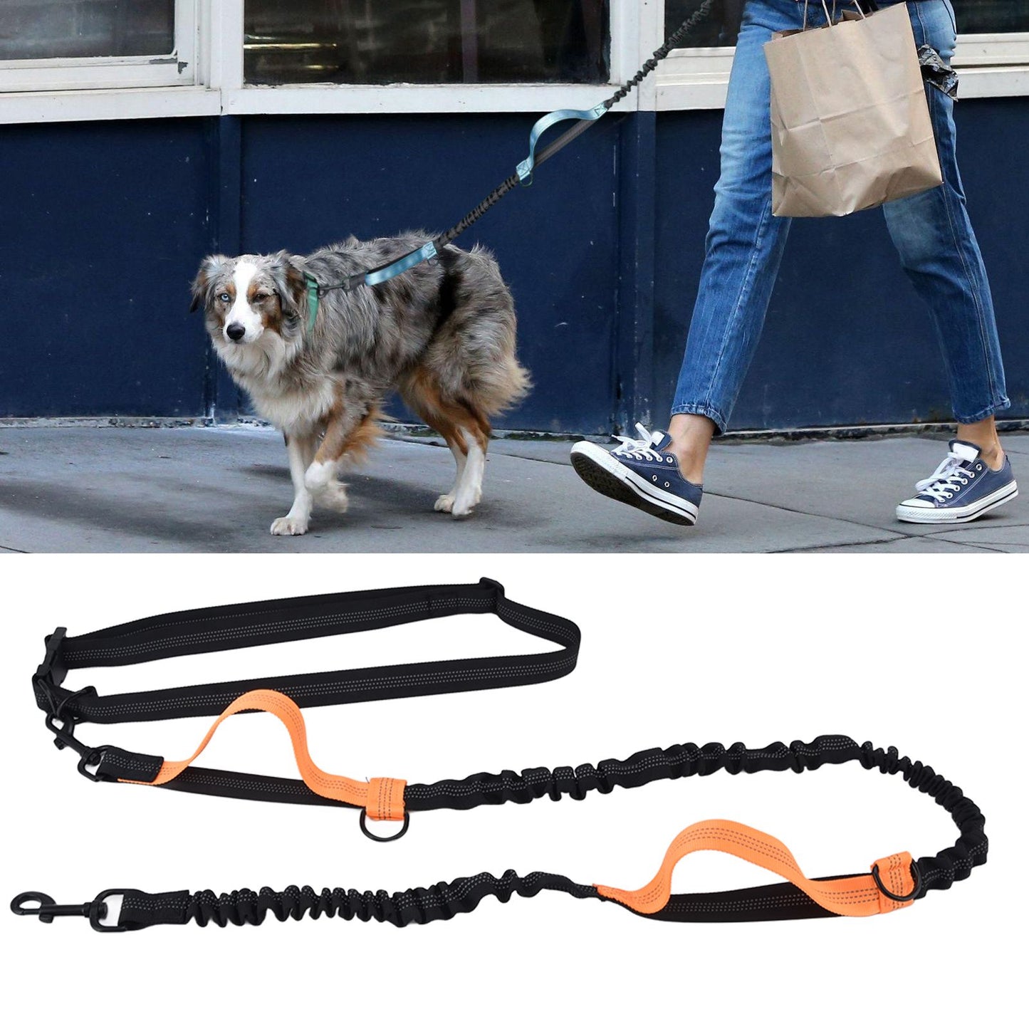 Pet Leash Reflective Retractable Portable Adjustable Dog Traction Rope for Pets Dogs Orange V1294-YM0523-3111220081914