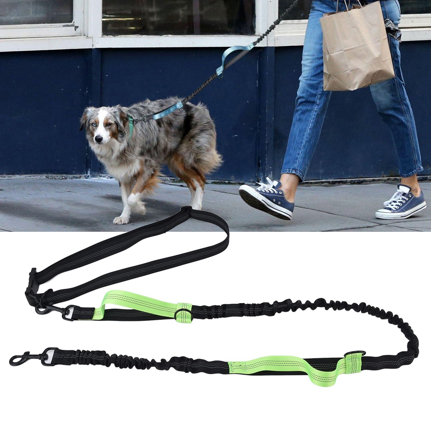 Pet Leash Reflective Retractable Portable Adjustable Dog Traction Rope for Pets Dogs Green V1294-YM0523-3111220081915