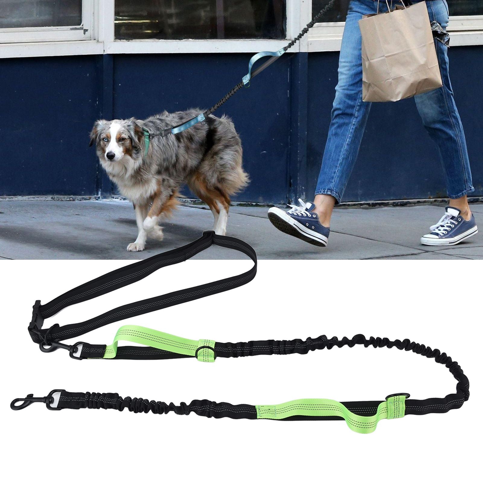 Pet Leash Reflective Retractable Portable Adjustable Dog Traction Rope for Pets Dogs Green V1294-YM0523-3111220081915