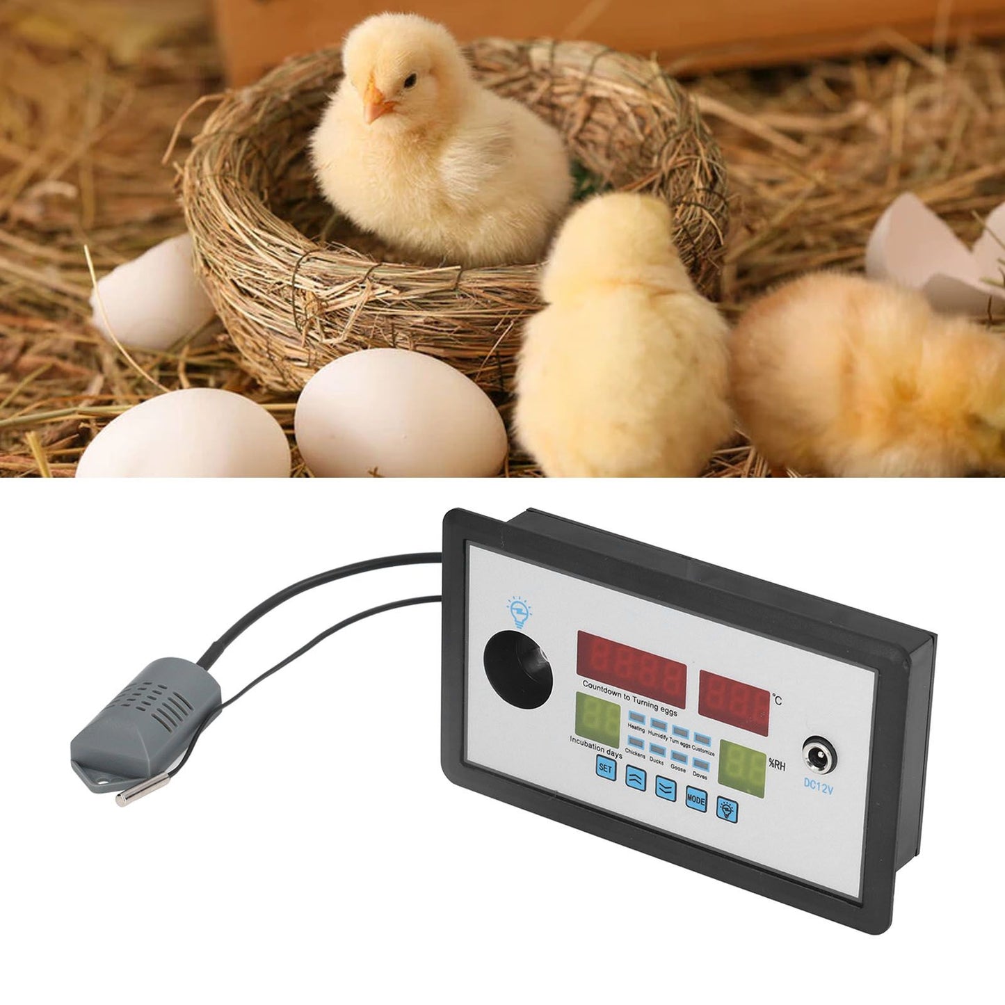 Intelligent Incubator Thermostat Automatic Egg Incubator Controller Thermostat for Eggs Duck Eggs Goose Eggs V1294-YM0523-3111220094211