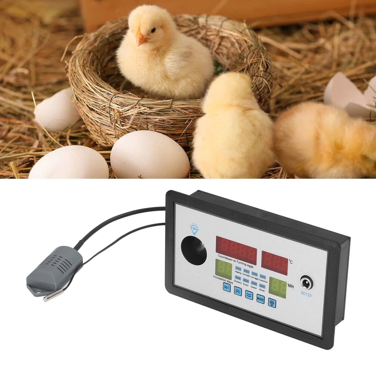 Intelligent Incubator Thermostat Automatic Egg Incubator Controller Thermostat for Eggs Duck Eggs Goose Eggs V1294-YM0523-3111220094211