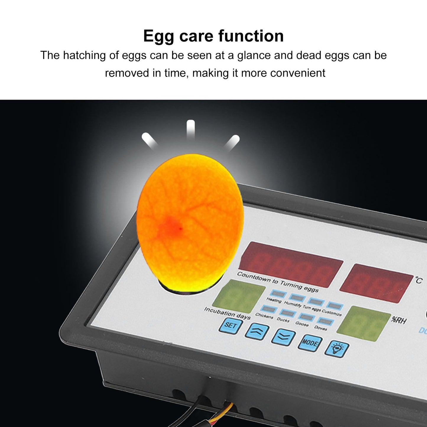 Intelligent Incubator Thermostat Automatic Egg Incubator Controller Thermostat for Eggs Duck Eggs Goose Eggs V1294-YM0523-3111220094211