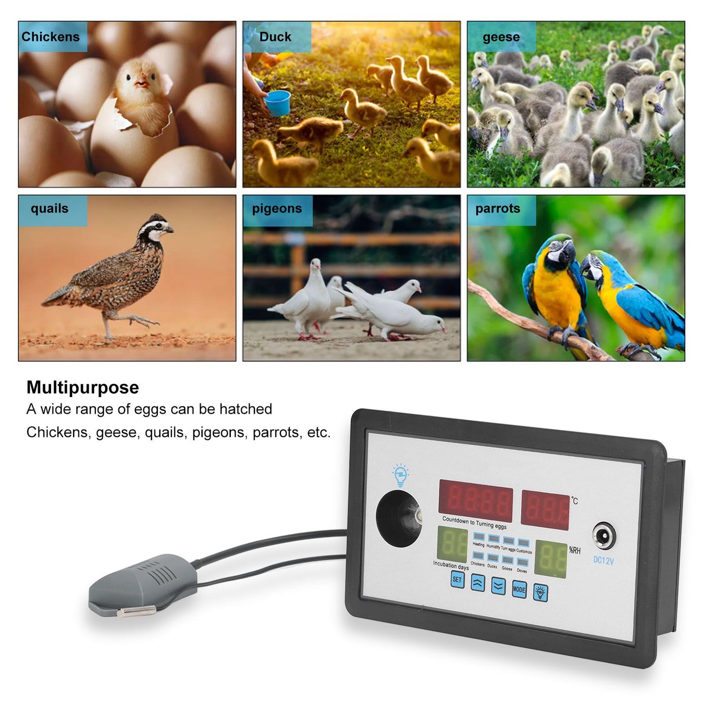Intelligent Incubator Thermostat Automatic Egg Incubator Controller Thermostat for Eggs Duck Eggs Goose Eggs V1294-YM0523-3111220094211