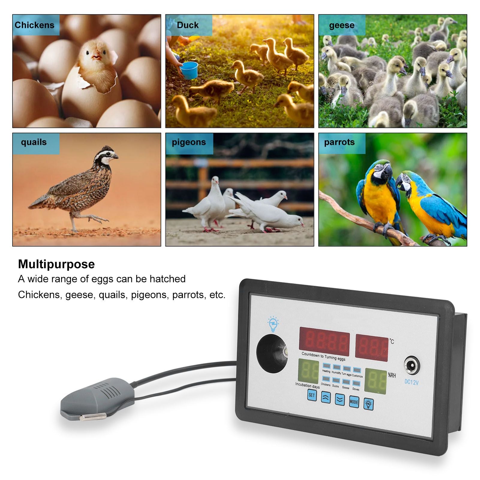 Intelligent Incubator Thermostat Automatic Egg Incubator Controller Thermostat for Eggs Duck Eggs Goose Eggs V1294-YM0523-3111220094211