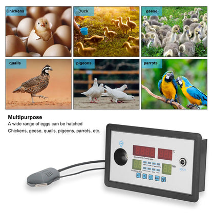 Intelligent Incubator Thermostat Automatic Egg Incubator Controller Thermostat for Eggs Duck Eggs Goose Eggs V1294-YM0523-3111220094211