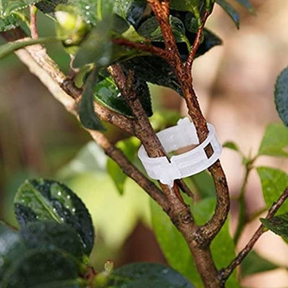 300Pcs Plastic Tomato Clips Good Fixation Support Reusable Plant Support Clips for Various Vegetables Flowers V1294-YM0523-3111220095511