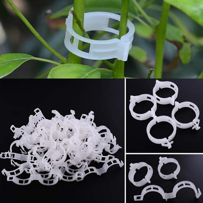 300Pcs Plastic Tomato Clips Good Fixation Support Reusable Plant Support Clips for Various Vegetables Flowers V1294-YM0523-3111220095511