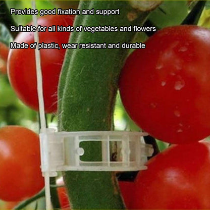 300Pcs Plastic Tomato Clips Good Fixation Support Reusable Plant Support Clips for Various Vegetables Flowers V1294-YM0523-3111220095511
