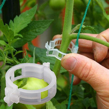 300Pcs Plastic Tomato Clips Good Fixation Support Reusable Plant Support Clips for Various Vegetables Flowers V1294-YM0523-3111220095511