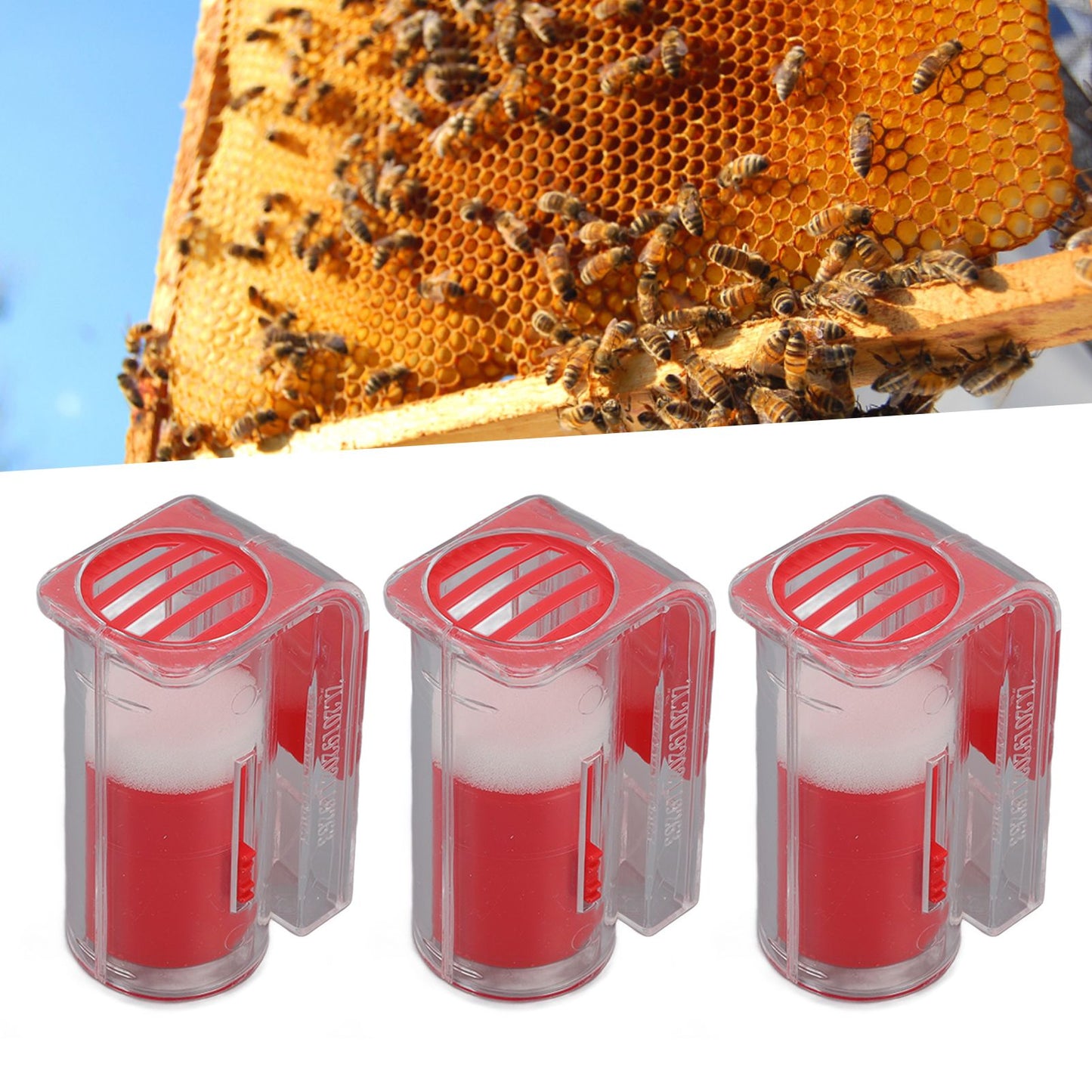 3Pcs Queen Bee Marking Cage Catcher Plastic One Handed Bee Queen Marker Bottle Beekeeping Tools for V1294-YM0523-3111220100812