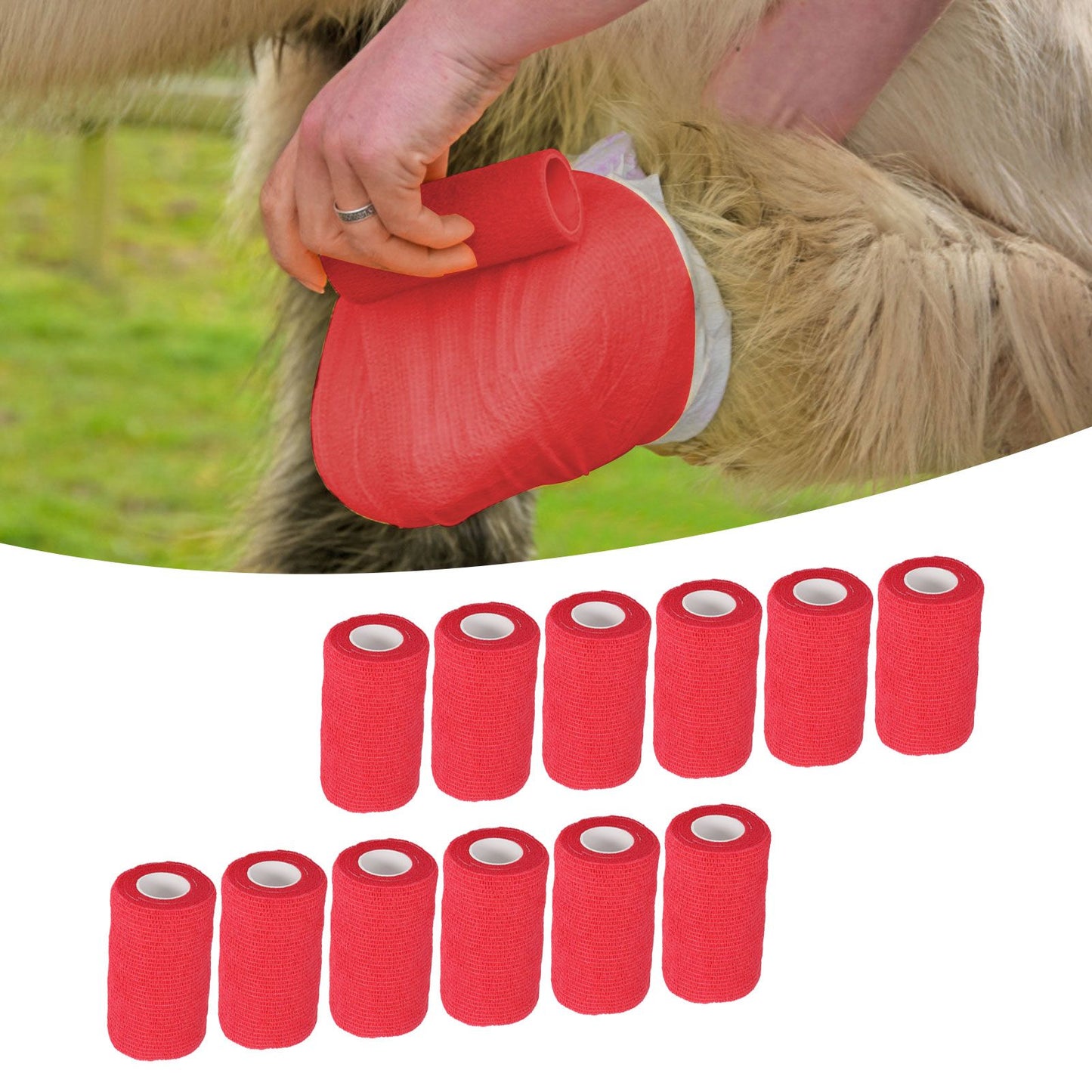 12Pcs Bandage Wrap Natural Latex Elastic Self Adhesive Wrap for Cows Dogs Horses 10cm Red V1294-YM0523-3111220104711