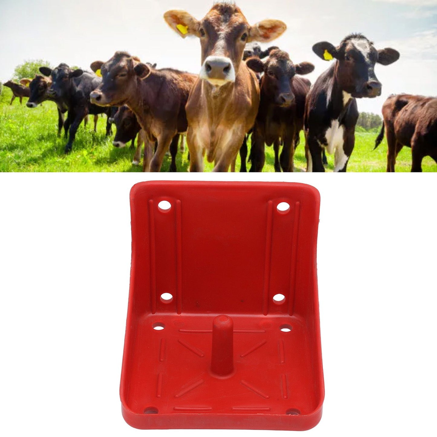 Cattle Sheep Licking Brick Box Plastic Feed Salt Brick Licking Block Box Farm Livestock Farm Equipment V1294-YM0523-3111220111911