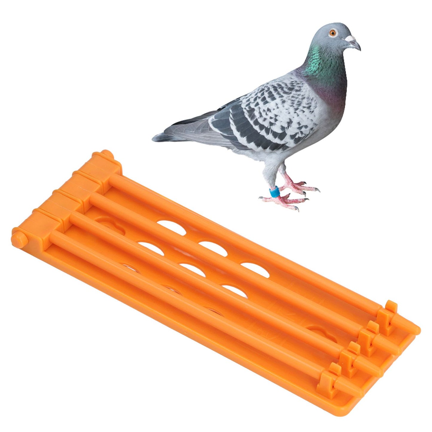4Pcs Pigeon Leg Ring Stand 4 Column Design Large Capacity Wall Mounted Safe Durable Plastic Parrot Leg Ring V1294-YM0523-3111220112312
