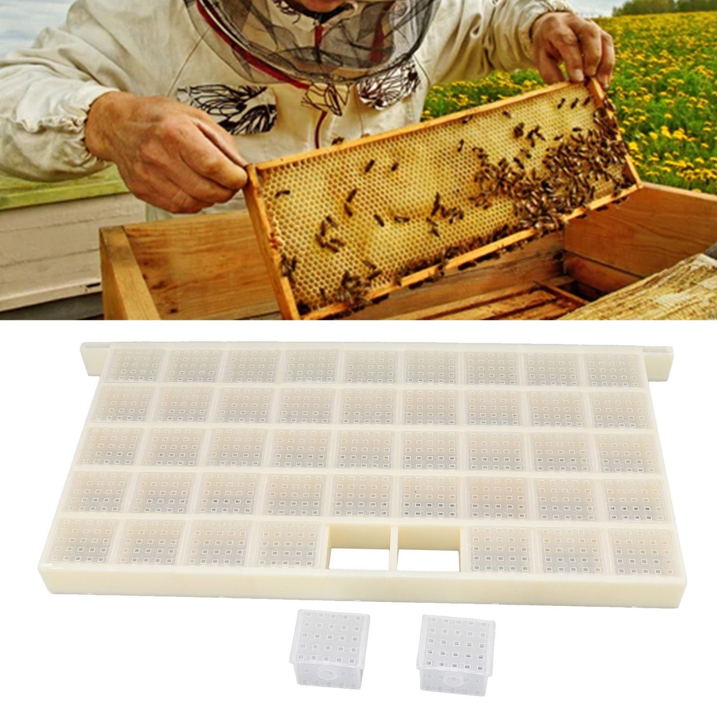 Queen Bee Storage Device Multifunctional Plastic Bee Storage Cage for Queen Rearing V1294-YM0523-3111220114911