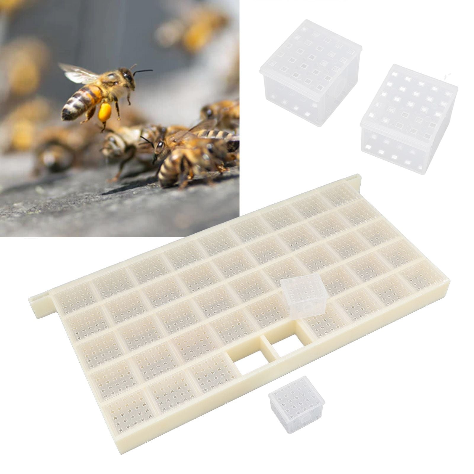 Queen Bee Storage Device Multifunctional Plastic Bee Storage Cage for Queen Rearing V1294-YM0523-3111220114911