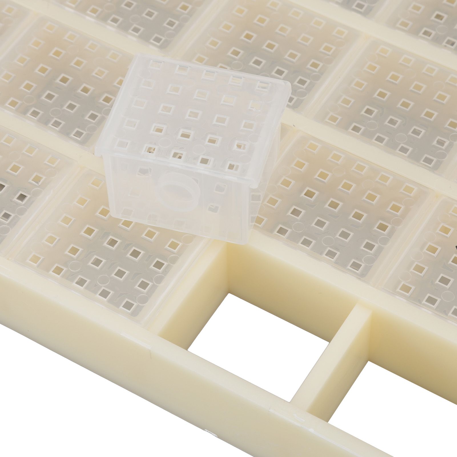 Queen Bee Storage Device Multifunctional Plastic Bee Storage Cage for Queen Rearing V1294-YM0523-3111220114911