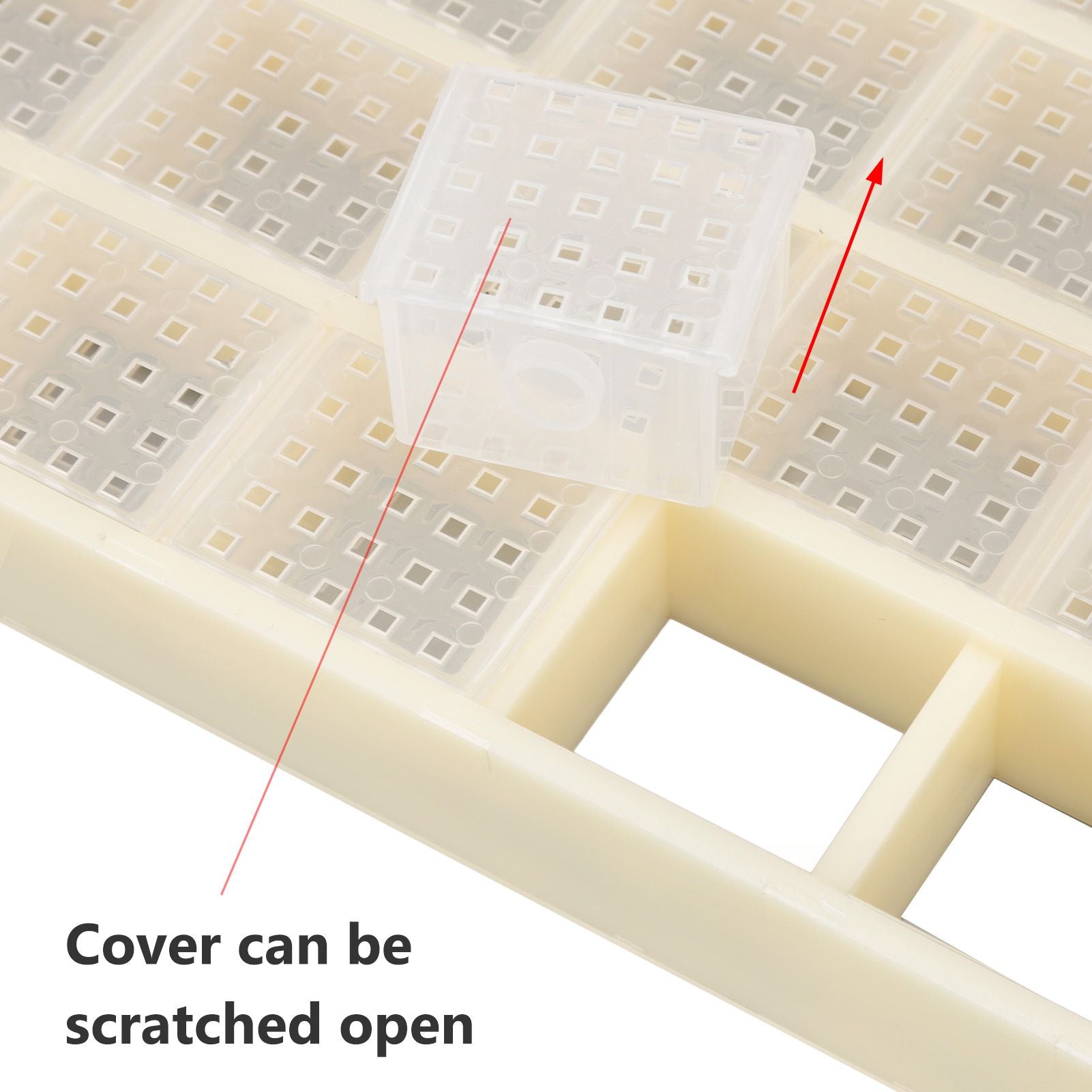 Queen Bee Storage Device Multifunctional Plastic Bee Storage Cage for Queen Rearing V1294-YM0523-3111220114911