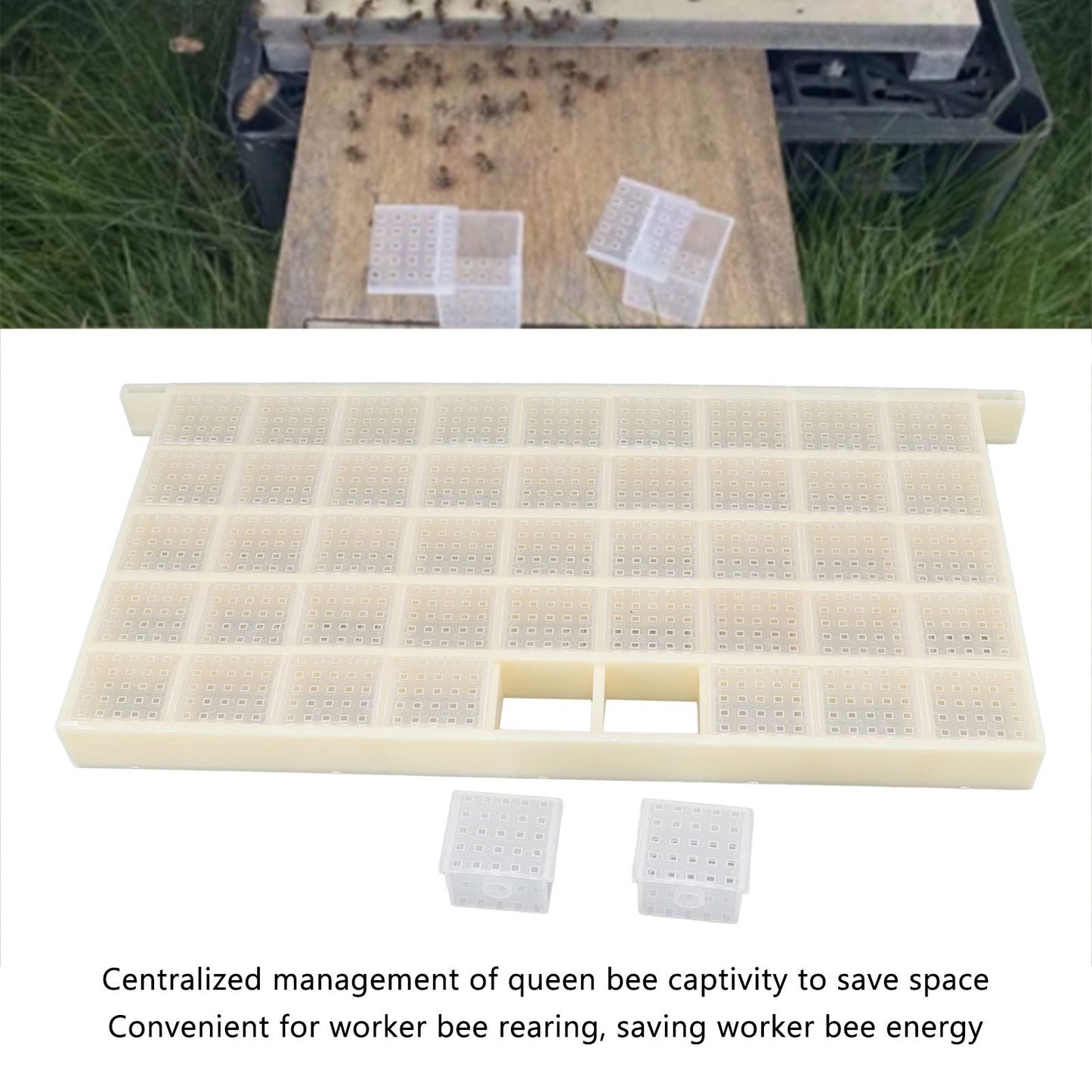 Queen Bee Storage Device Multifunctional Plastic Bee Storage Cage for Queen Rearing V1294-YM0523-3111220114911