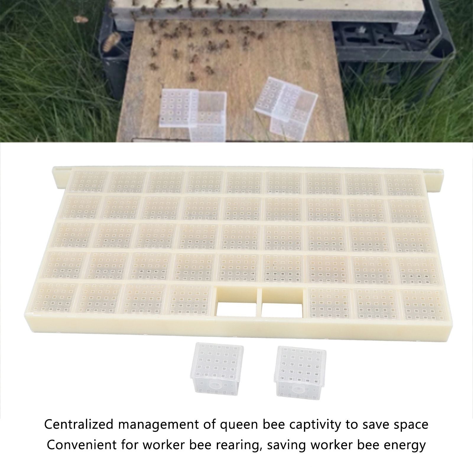 Queen Bee Storage Device Multifunctional Plastic Bee Storage Cage for Queen Rearing V1294-YM0523-3111220114911